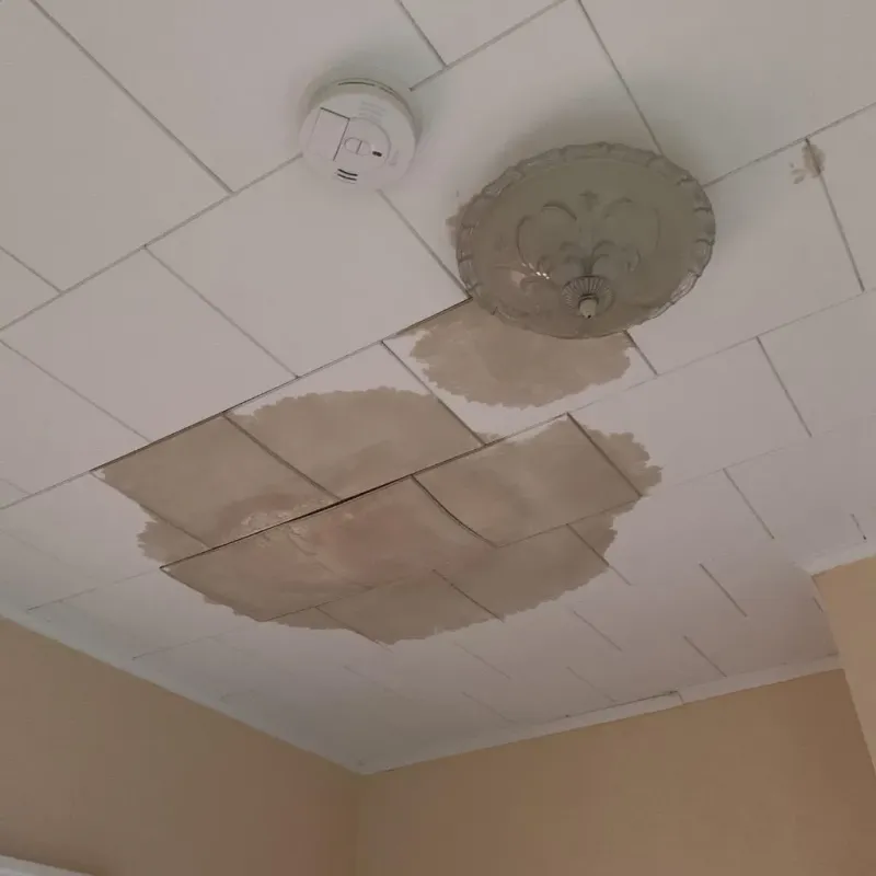 Ceiling Water Damage Repair in Mayville, WI