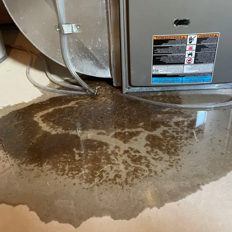 Pipe Burst and Leak Restoration in Mayville, WI
