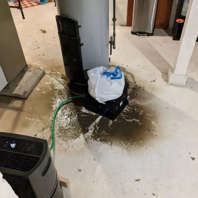 Sewage Backup Cleanup Service in Mayville, WI